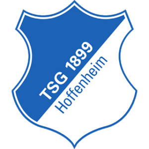 TSG Hoffenheim Logo