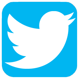 Twitter DLS Logo