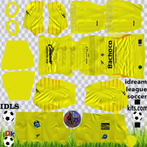 Celaya FC Goalkeeper Home Kit