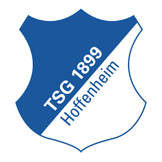 TSG Hoffenheim Logo