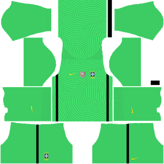Kit Fora do Goleiro Brasil Copa América 2021