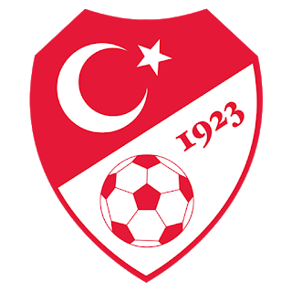 Turkey Euro Cup 2021 Logo