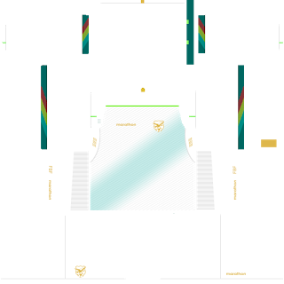 Bolivia Copa América 2021 Away Kit