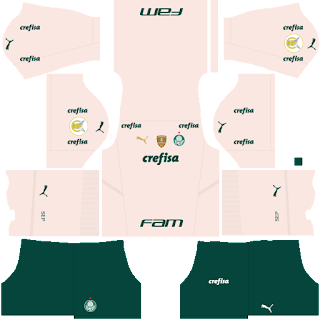 Palmeiras third kit 2022