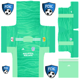 Cardiff City PLS Kit 2022 gk home