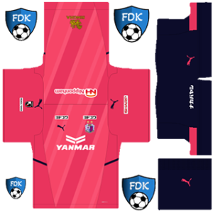 Cerezo Osaka Pro League Soccer Kits