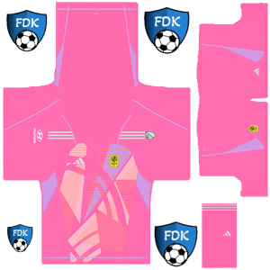 Nashville SC PLS Kit 2024 GK Away