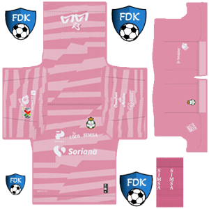 Santos Laguna PLS Kit 2025 GK Home