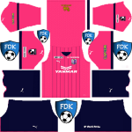 Cerezo Osaka DLS Kits 2023