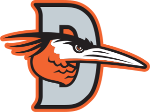 Delmarva Shorebirds logo