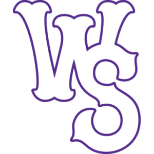 Winston-Salem Dash logo