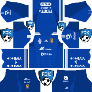 kits dls tigres 2024