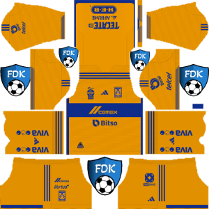 kits dls tigres 2024