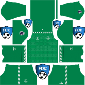 Everton kit dls 2024 gk home temp