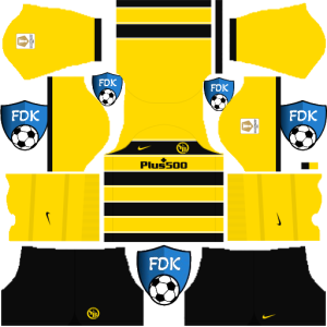 BSC Young Boys dls kit 2024 home temp