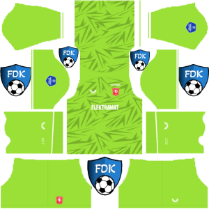 FC Twente dls kit 2024 gk home temp