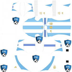 Argentina DLS Kits 2024