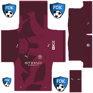 Manchester City PLS Kit 2025 Third