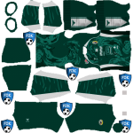 PSS Sleman DLS Kits 2025