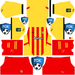 RC Lens DLS Kits 2025