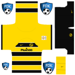 BSC Young Boys Pro League Soccer Kits