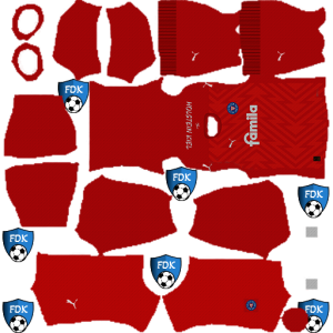 Holstein Kiel kit dls 2025 gk home temp