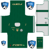 Palmeiras Pro League Soccer Kits