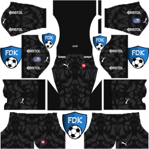 Cerro Porteno kit dls 2025 gk third