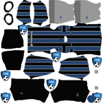 Gremio DLS Kits 2025