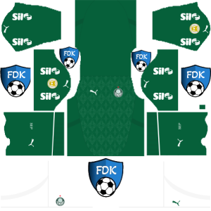 Palmeiras kit dls 2025 home