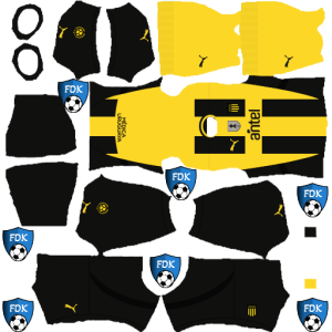 Penarol DLS Kits 2025