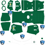 Palmeiras DLS Kits 2025