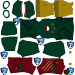 Cameroon DLS Kits 2025