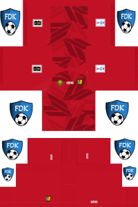 Cameroon FL Kit 2024 GK Home