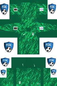 China FL Kit 2024 GK Away