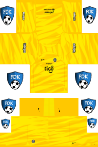 Club Olimpia FL Kit 2024 GK Away
