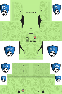 Shakhtar Donetsk FL Kit 2025 GK Away