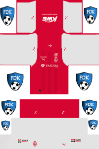 Stade de Reims Football League Kits
