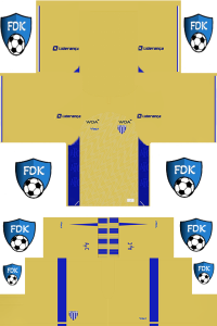 Avai FC FL Kit 2024 GK Home
