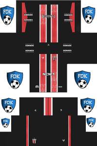 Botafogo SP FL Kit 2024 Away