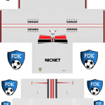 Botafogo SP Football League Kits