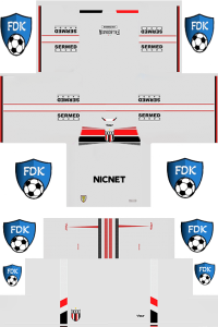 Botafogo SP Football League Kits