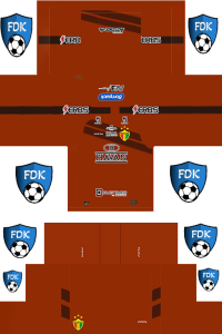 Brusque FC FL Kit 2024 GK Home