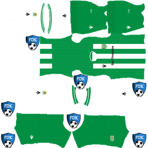 CA Banfield DLS Kits 2025