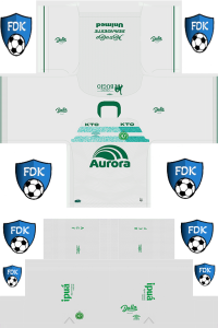 Chapecoense FL Kit 2024 Away
