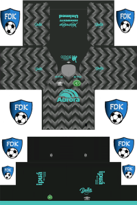 Chapecoense FL Kit 2024 GK Home