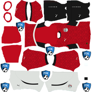 Egypt DLS Kits 2026