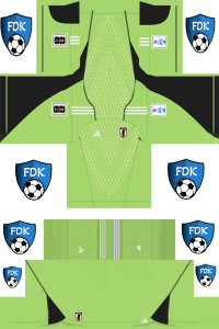 Japan FL Kit 2024 GK Home