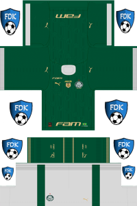 Palmeiras Football League Kits