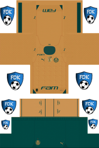 Palmeiras FL Kit 2024 Third